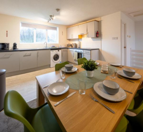 3 Bed Holiday home in Honicombe Park